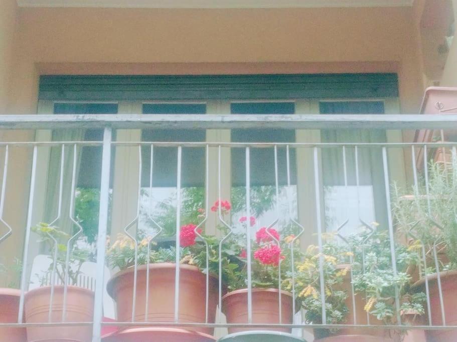 Appartement Ampi Spazi, A Piedi In Centro. à Trévise Extérieur photo