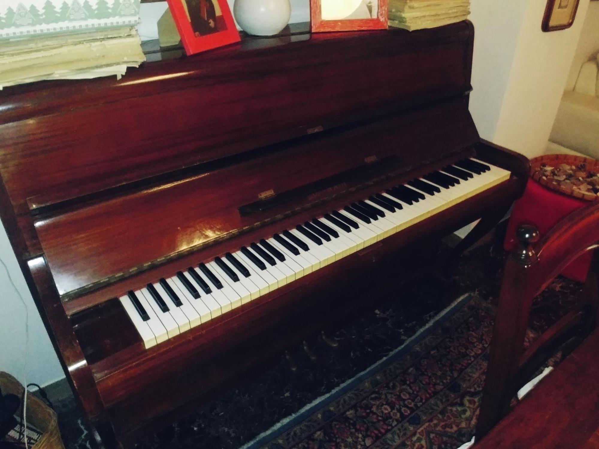 Appartement Ampi Spazi, A Piedi In Centro. à Trévise Extérieur photo